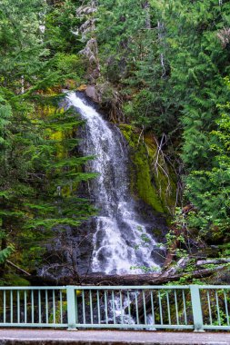 Washington 'daki Rainier Dağı' nın yakınındaki ya da üstündeki şelalelerden biri..