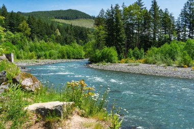 Washington 'daki 410 numaralı otoyol boyunca Beyaz Nehir manzarası.