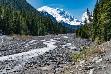 Uzakta Rainier Dağı 'nın olduğu Beyaz Nehir manzarası.