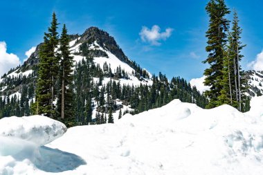 Washington 'da Rainier Dağı yakınlarında karla kaplı tepeler..