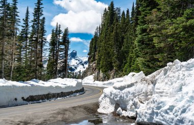 Washington 'da Rainier Dağı yakınlarında bir dağ yolu..