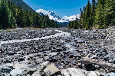 Uzakta Rainier Dağı 'nın olduğu Beyaz Nehir manzarası.