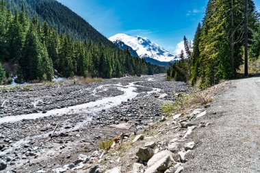 Uzakta Rainier Dağı 'nın olduğu Beyaz Nehir manzarası.