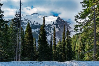 Rainier Dağı 'nın yakınından tepe manzarası..