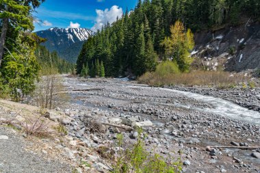 Washington 'daki Rainier Dağı Ulusal Parkı' ndaki taşlı Beyaz Nehir manzarası.