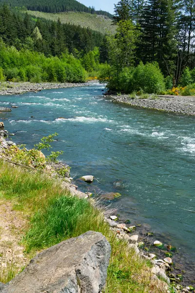 Washington 'daki 410 numaralı otoyol boyunca Beyaz Nehir manzarası.