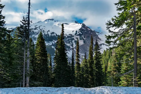 Rainier Dağı 'nın yakınından tepe manzarası..