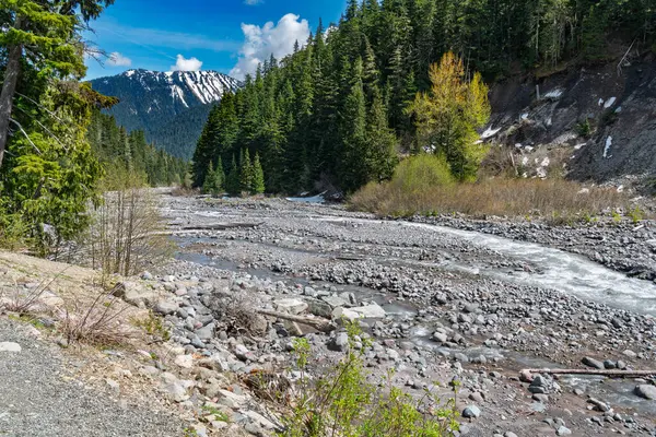 Washington 'daki Rainier Dağı Ulusal Parkı' ndaki taşlı Beyaz Nehir manzarası.