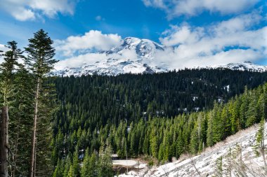 Washington 'da ağaçları ve bulutları olan Rainier Dağı' nın manzarası.