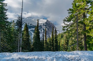 Rainier Dağı 'nın yakınından tepe manzarası..