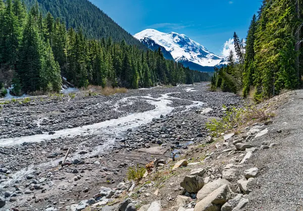 Uzakta Rainier Dağı 'nın olduğu Beyaz Nehir manzarası.