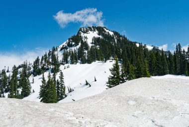Washington 'da Rainier Dağı yakınlarında karla kaplı tepeler..