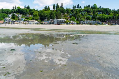 Batı Seattle 'daki Alki Plajı' nda King Tide ile Washington manzarası.
