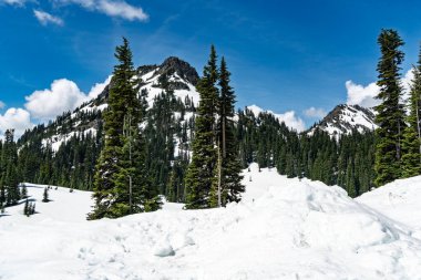 Washington 'da Rainier Dağı yakınlarında karla kaplı tepeler..