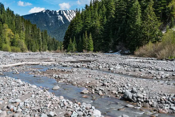 Washington 'daki Rainier Dağı Ulusal Parkı' ndaki taşlı Beyaz Nehir manzarası.