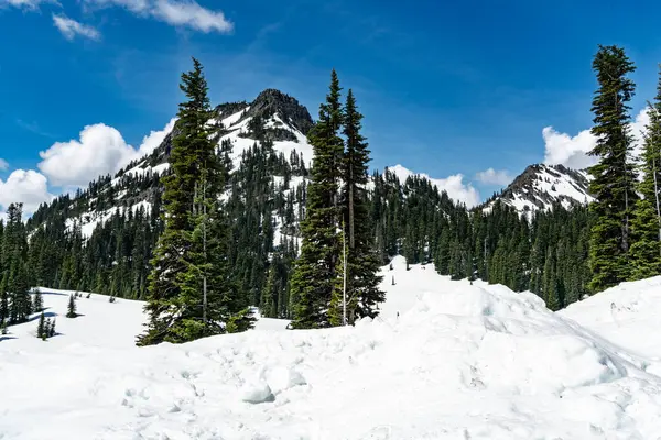 Washington 'da Rainier Dağı yakınlarında karla kaplı tepeler..