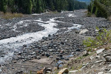 Washington 'da Rainier Dağı yakınlarında kayalık bir nehir manzarası.