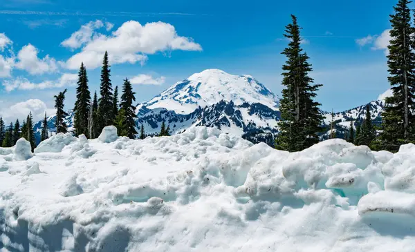 Rainier Dağı manzarası. Baharda ön planda kar var. Washington Eyaleti 'nde..
