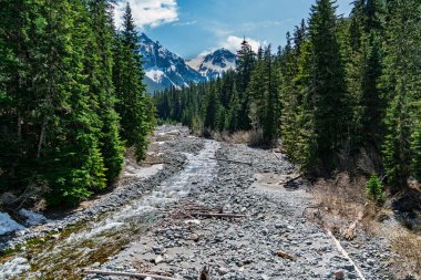 Washington 'da dağları ve ağaçları olan Beyaz Nehir manzarası.