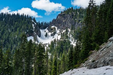 Washington 'daki Rainier Dağı yakınlarında manzaralı dağ kayalıkları.