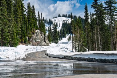 Washington 'da Rainier Dağı yakınlarında bir dağ yolu..