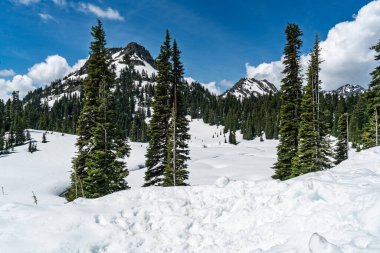Washington 'da Rainier Dağı yakınlarında karla kaplı tepeler..