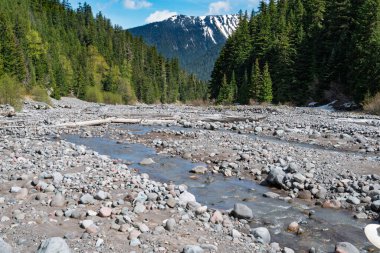 Washington 'daki Rainier Dağı Ulusal Parkı' ndaki taşlı Beyaz Nehir manzarası.