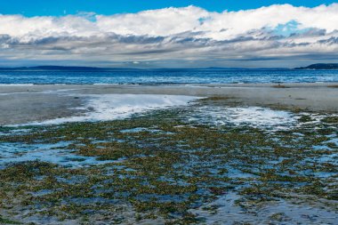 Alki Brach 'ın kıyı şeridini son derece alçak bir Kral gelgiti ile görmek. Konum Batı Seattle, Washington.