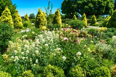Washington Eyalet Meclisi 'ndeki Batık Bahçe' de çeşitli bitki ve çiçekler var..