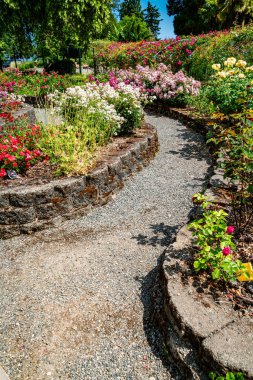 Tacoma, Washington 'daki Point Defiance Park' ta bir sıra çiçek..