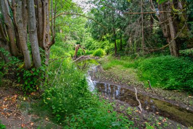 Seattle, Washington 'da Longfellow Deresi