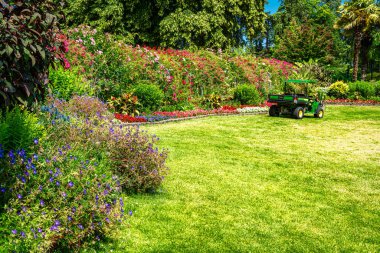 Tacoma, Washington 'daki Point Defiance Park' ta bir sıra çiçek..