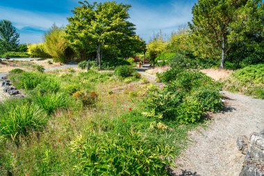 Güney Seattle, Washington 'da bir Çin bahçesi..