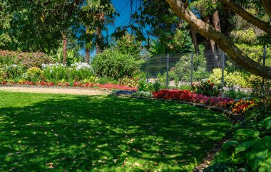 Tacoma, Washington 'da bir parkta renkli bir çiçek manzarası..