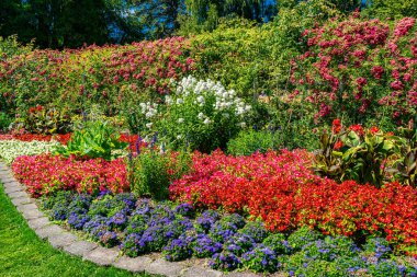 Tacoma, Washington 'daki bir bahçede yemyeşil çiçekler..
