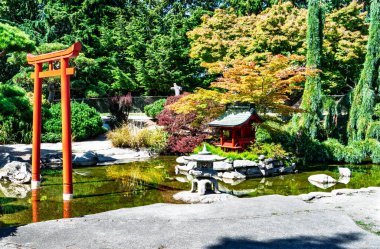 Taocma, Washington 'da bir Japon bahçe göleti..