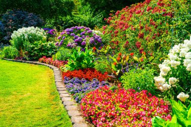 Tacoma, Washington 'daki bir bahçede yemyeşil çiçekler..