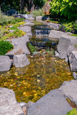 Tacoma, Washington 'da küçük bir dere..