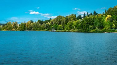 Renton, Washington 'daki Gene Coulon Park' taki kıyı şeridi manzarası.