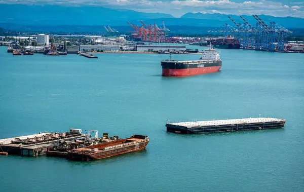 Yazın Tacoma Limanı 'ndaki gemilerin manzarası..