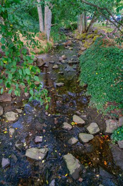 Wahsington Eyaleti 'ndeki Saltwater State Park' ta bir dere. Yaz geldi..