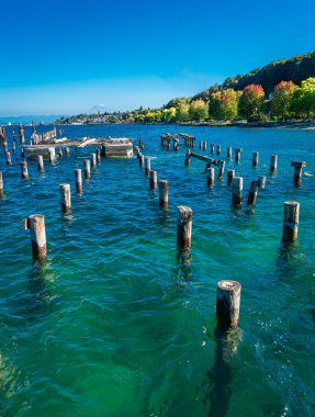 Ruston, Washington 'da kıyıya yakın eski kazıklar.
