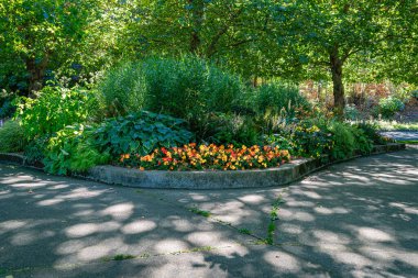 Ruston, Washington 'da ağaçlar ve çiçekler.