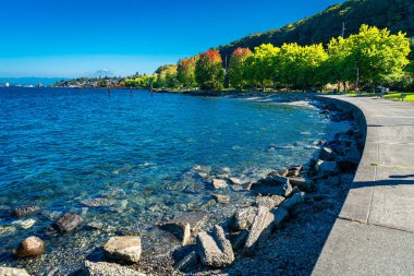 Ruston, Washington 'da sonbaharda kıyı şeridi manzarası.