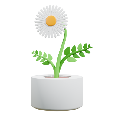 Bir saksıda çiçek açan bir çiçeğin 3 boyutlu çizimi