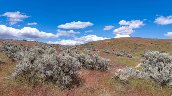 Boise Tepeleri Panoramik Manzarası