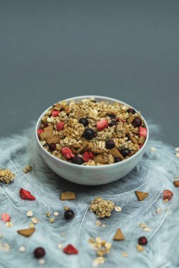 Gri tek renkli arka planda beyaz tüylü ve çelenk kenarlı bir kase müsli. Sağlıklı yemek, sağlıklı kahvaltı.