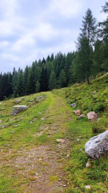 Dağ manzarası. Güneşli bir yaz gününde Avusturya ve İtalya sınırındaki Alpler