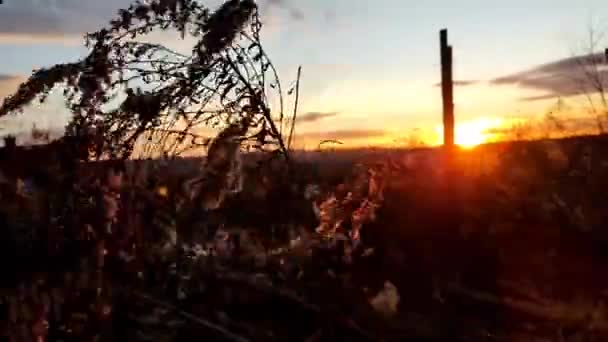 Video Zapadajícím Sluncem Tráva Houpající Větru Pohled Kopce Západu Slunce — Stock video
