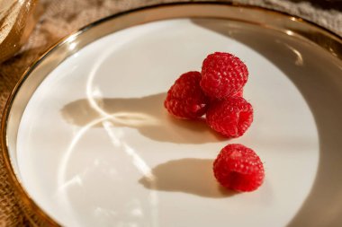 Raspberries and the reflection of light in a dish with a golden border. Light pattern on the plate